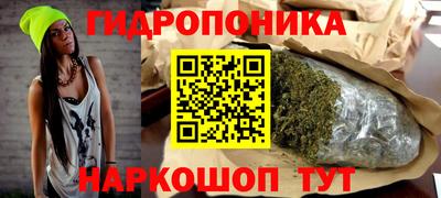 гашик Новокубанск