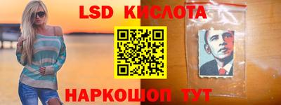 индика Новодвинск
