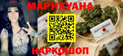гашик Новокубанск