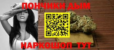 индика Новодвинск