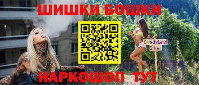индика Новодвинск