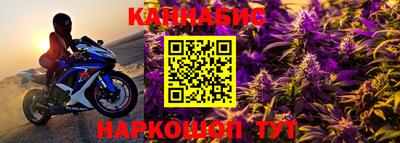 гашик Новокубанск