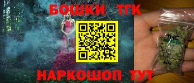 индика Новодвинск