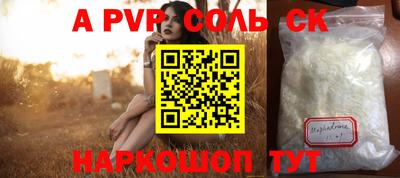 индика Новодвинск