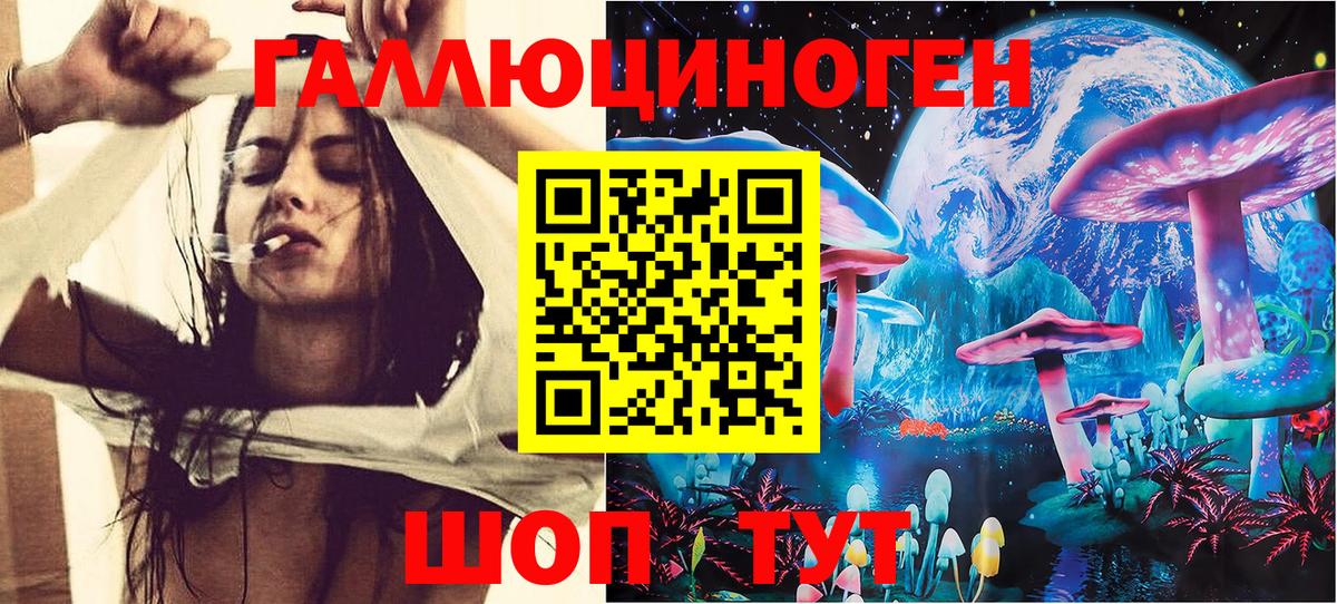 Сыктывкар  Псилоцибиновые грибы Psilocybine cubensis  что такое   Вход с VPN 